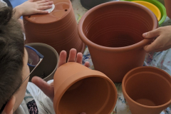 PXL_20250321_1304079602