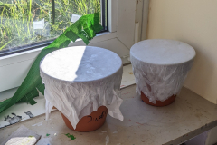 PXL_20250321_133716644