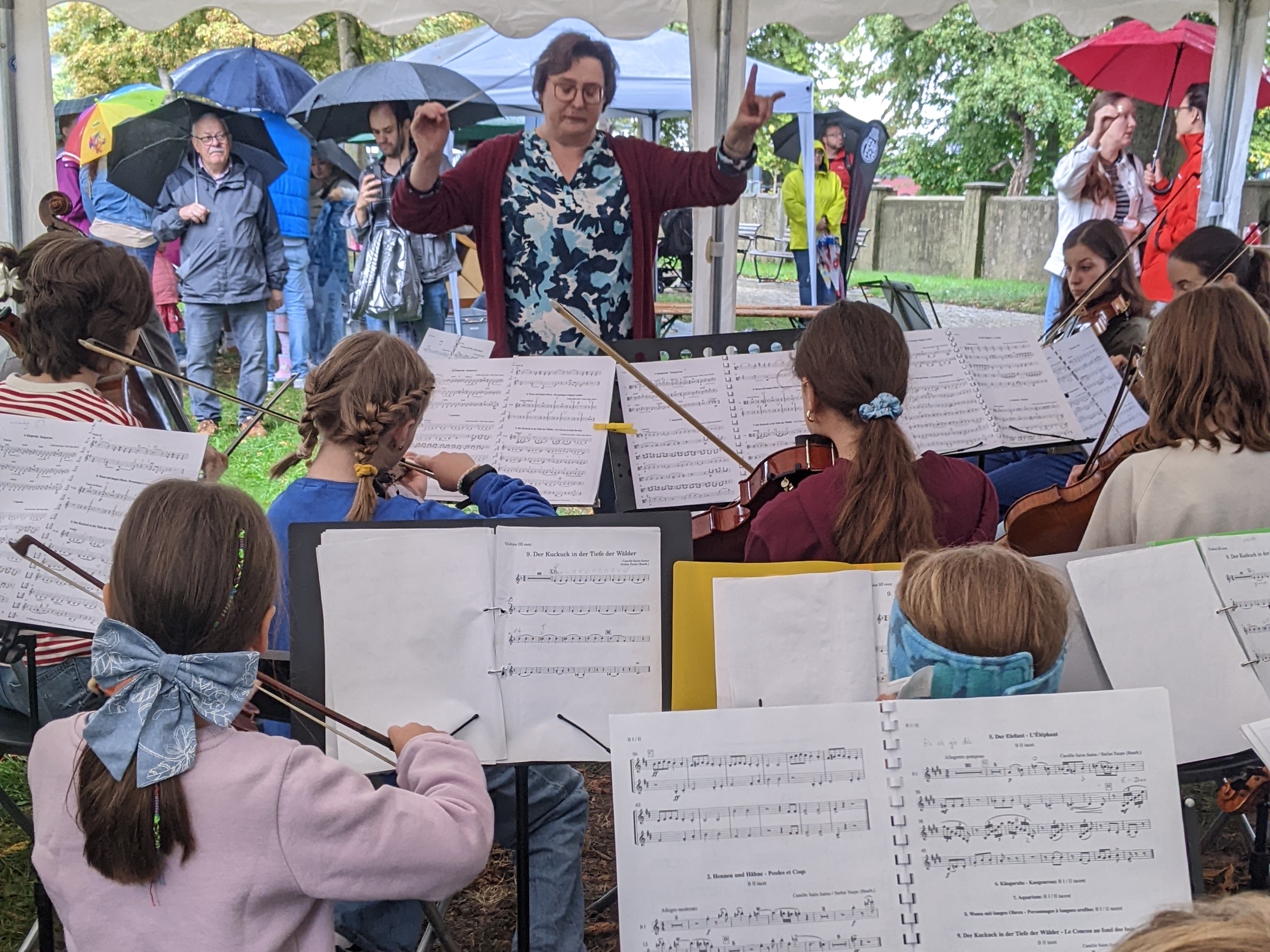 Projekt-Orchester, öffentliche Probe "Karneval der Tiere" Projekt-Orchester, öffentliche Probe "Karneval der Tiere"