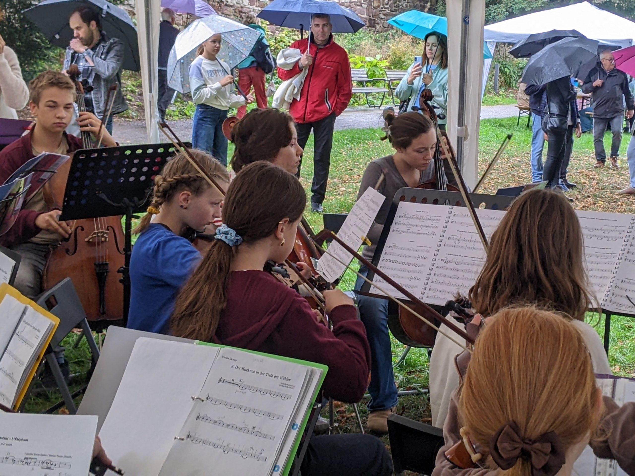 Projekt-Orchester, öffentliche Probe "Karneval der Tiere" Projekt-Orchester, öffentliche Probe "Karneval der Tiere"